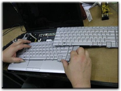Ремонт клавиатуры на ноутбуке Toshiba в Пушкино